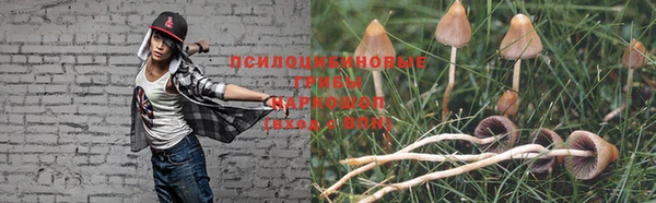 гашик Аркадак