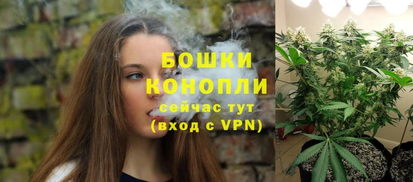 гашик Аркадак