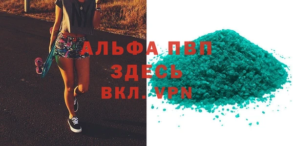 стаф Арсеньев