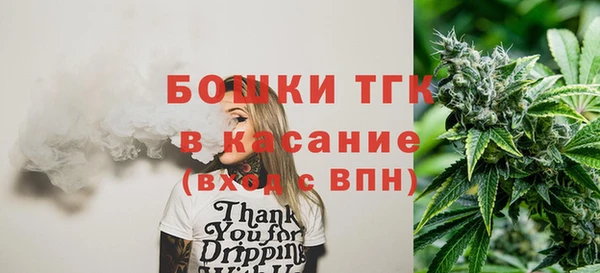 стаф Арсеньев