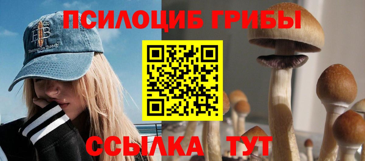 Галлюциногенные грибы GOLDEN TEACHER  Вход с VPN  Балтийск 